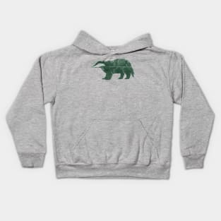 Badger Kids Hoodie